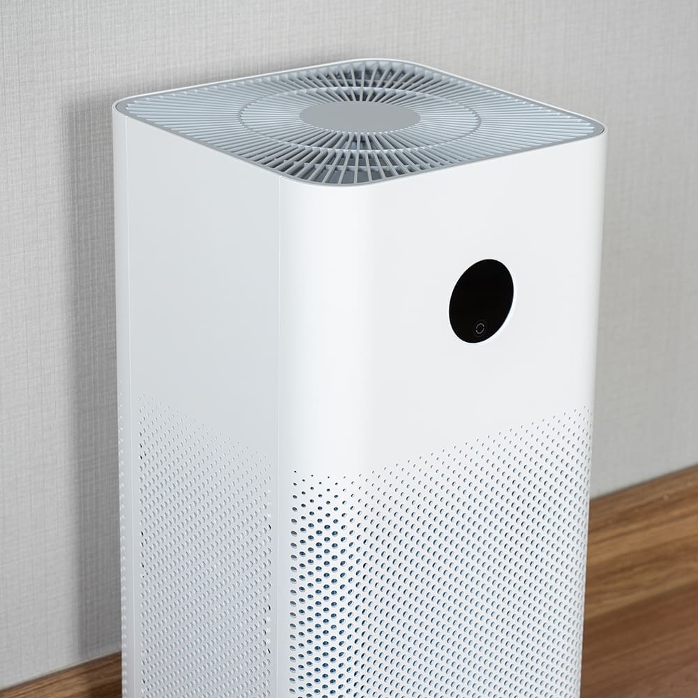 Daily Cleans & Air Purifiers To Safeguard Their Health
