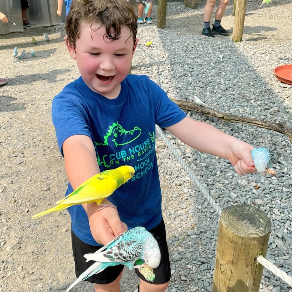 Fun-Filled Field Trips To Spark Their Imagination